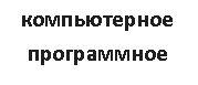���� ����: компьютерное программное 